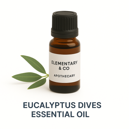 Essential Oil: Eucalyptus (Dives) .