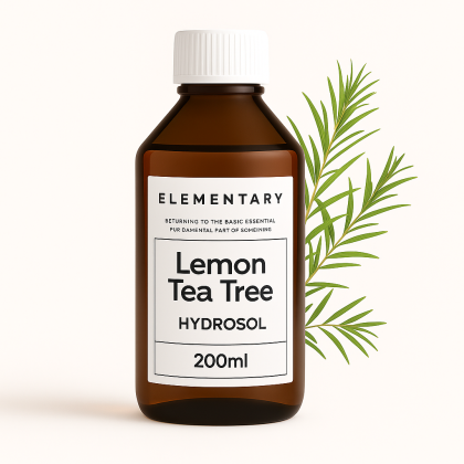 Lemon Tea Tree Hydrosol .