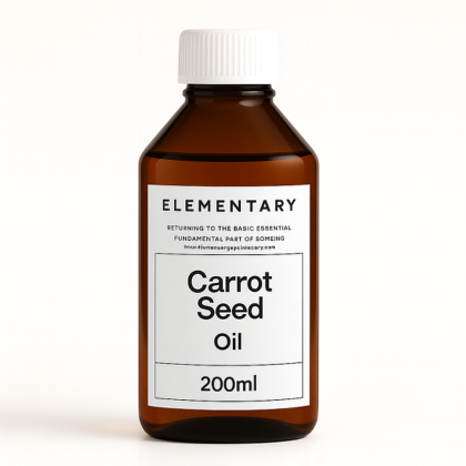 Carrot Seed Oil