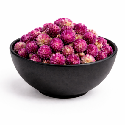 Globe Amaranth Flower